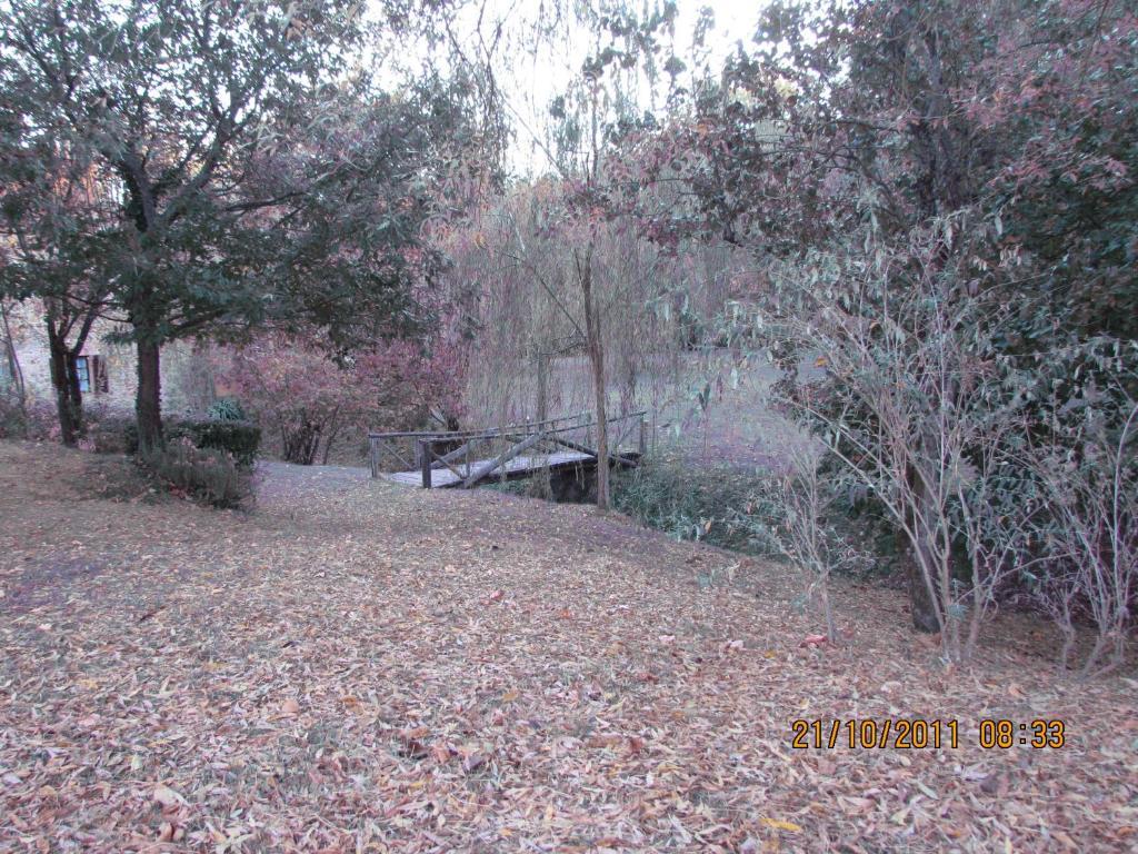 Agriturismo Il Mulino Delle Pile Chiusdino Bagian luar foto