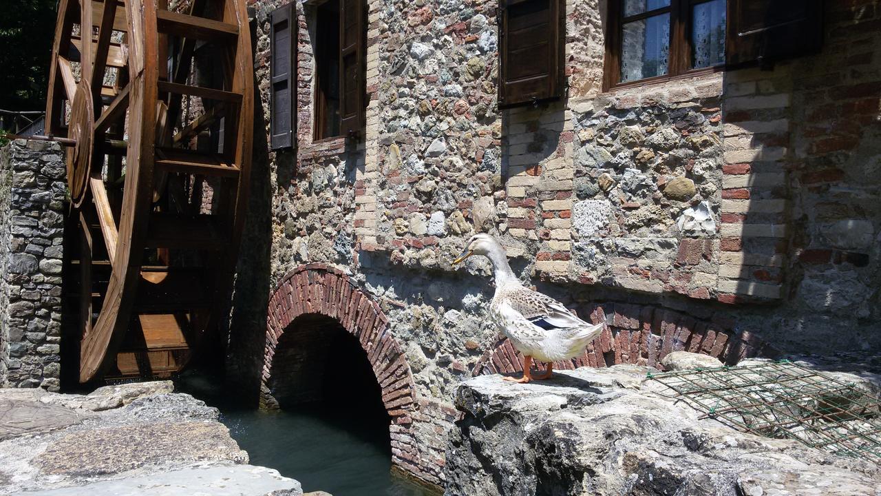 Agriturismo Il Mulino Delle Pile Chiusdino Bagian luar foto