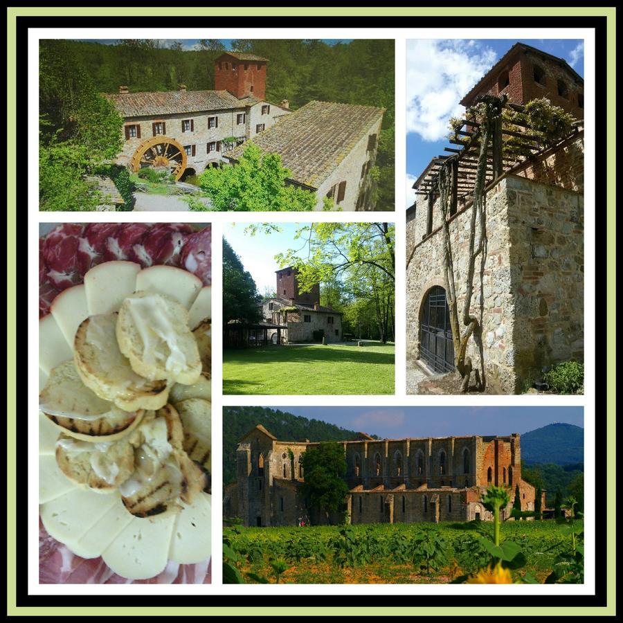 Agriturismo Il Mulino Delle Pile Chiusdino Bagian luar foto
