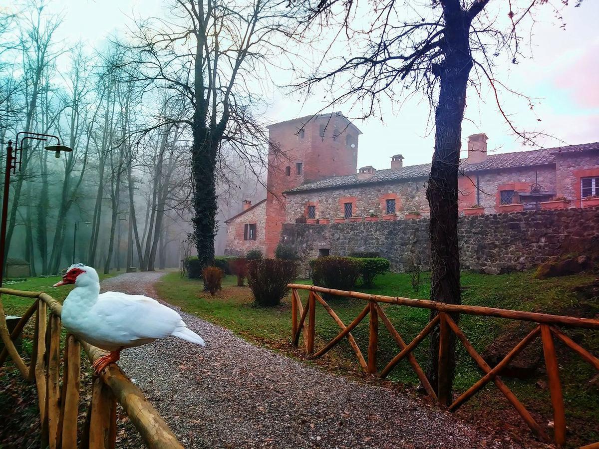 Agriturismo Il Mulino Delle Pile Chiusdino Bagian luar foto