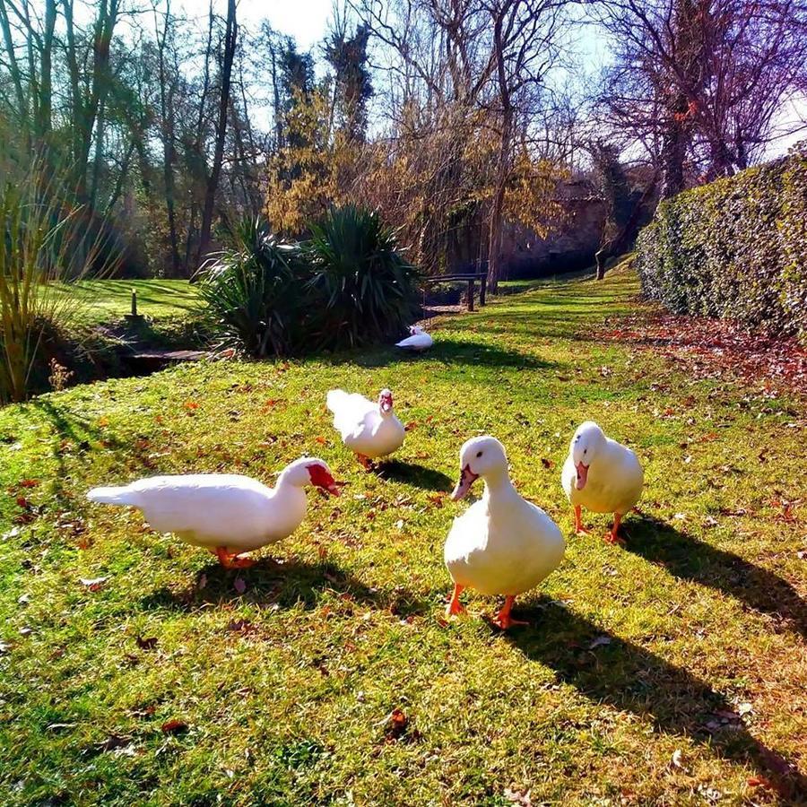 Agriturismo Il Mulino Delle Pile Chiusdino Bagian luar foto