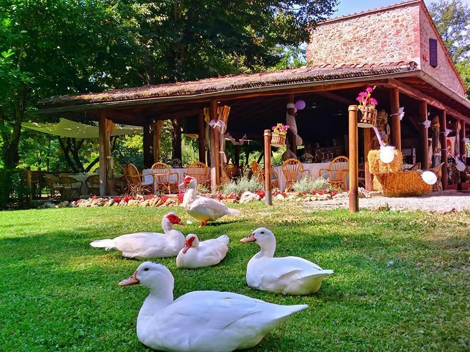 Agriturismo Il Mulino Delle Pile Chiusdino Bagian luar foto